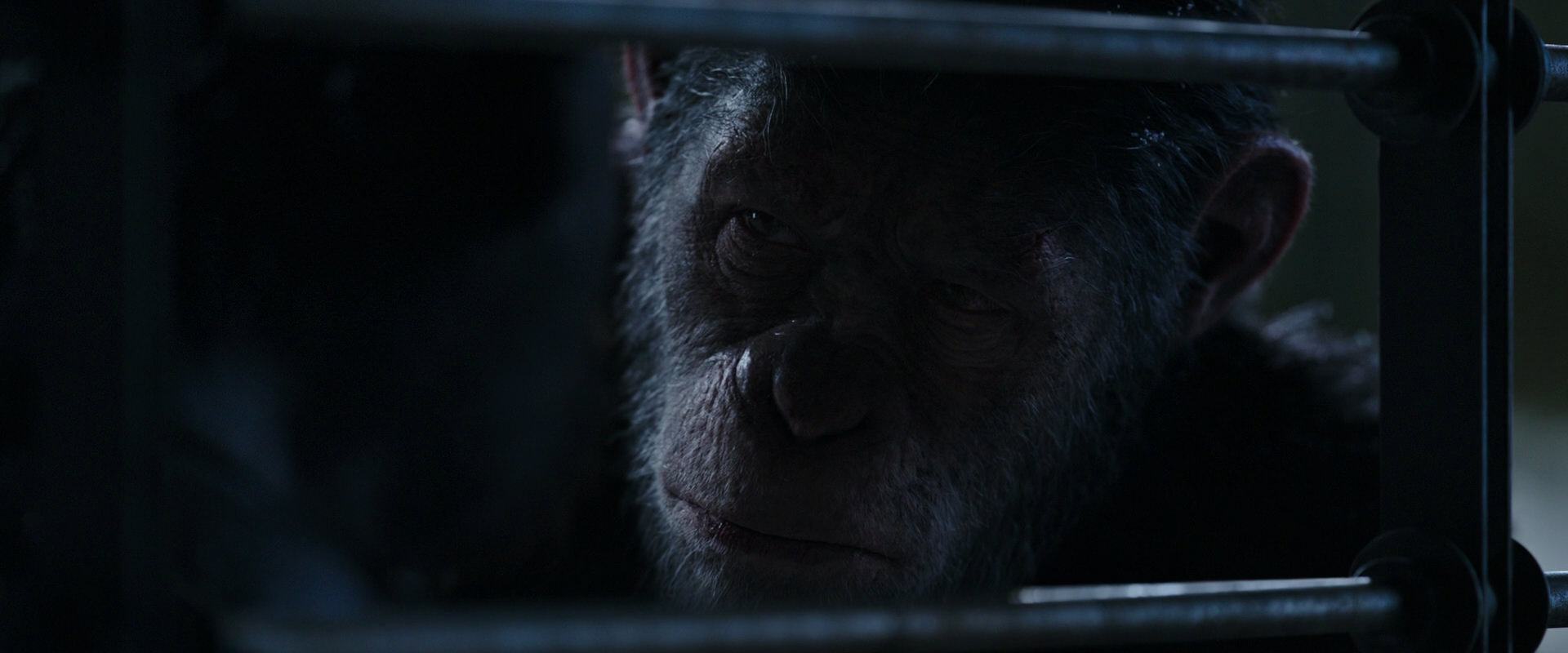 War for the Planet of the Apes (2017) HD screenshot 13217