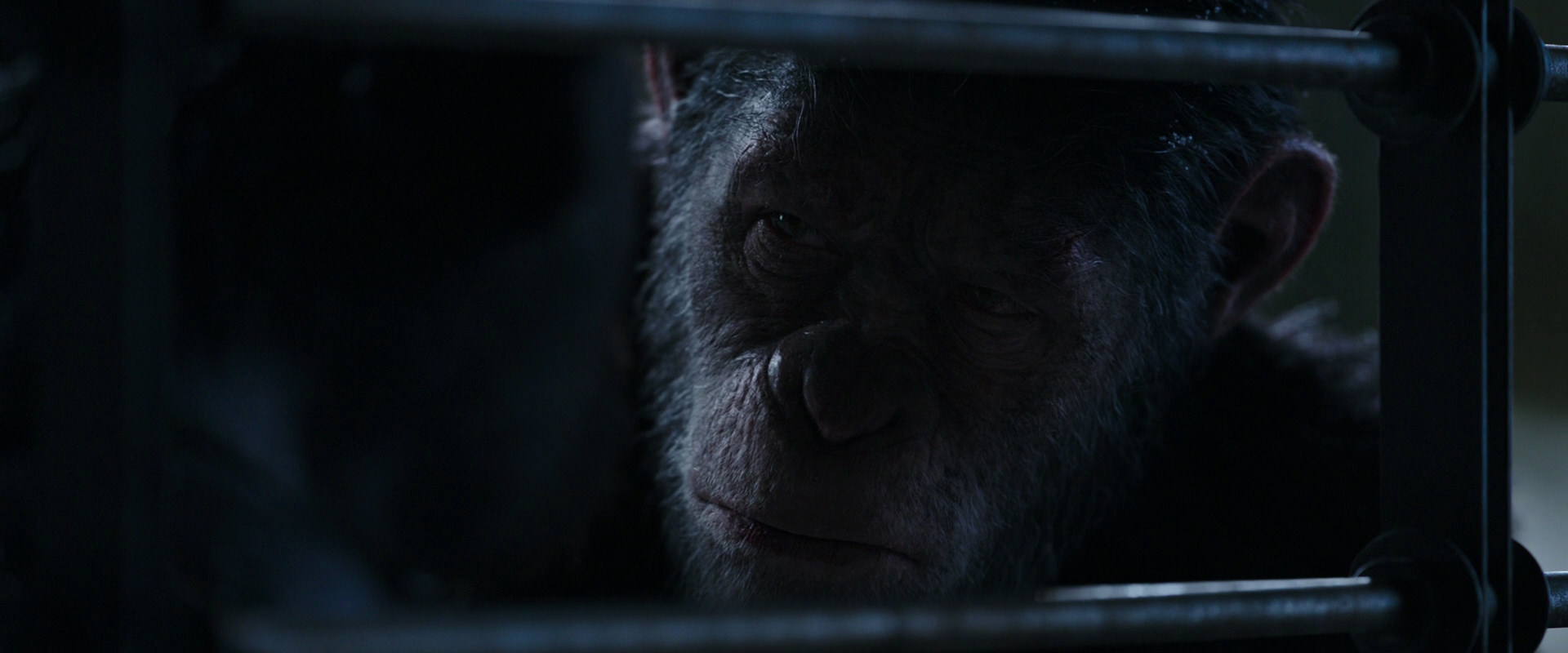 War for the Planet of the Apes (2017) screencap 13218