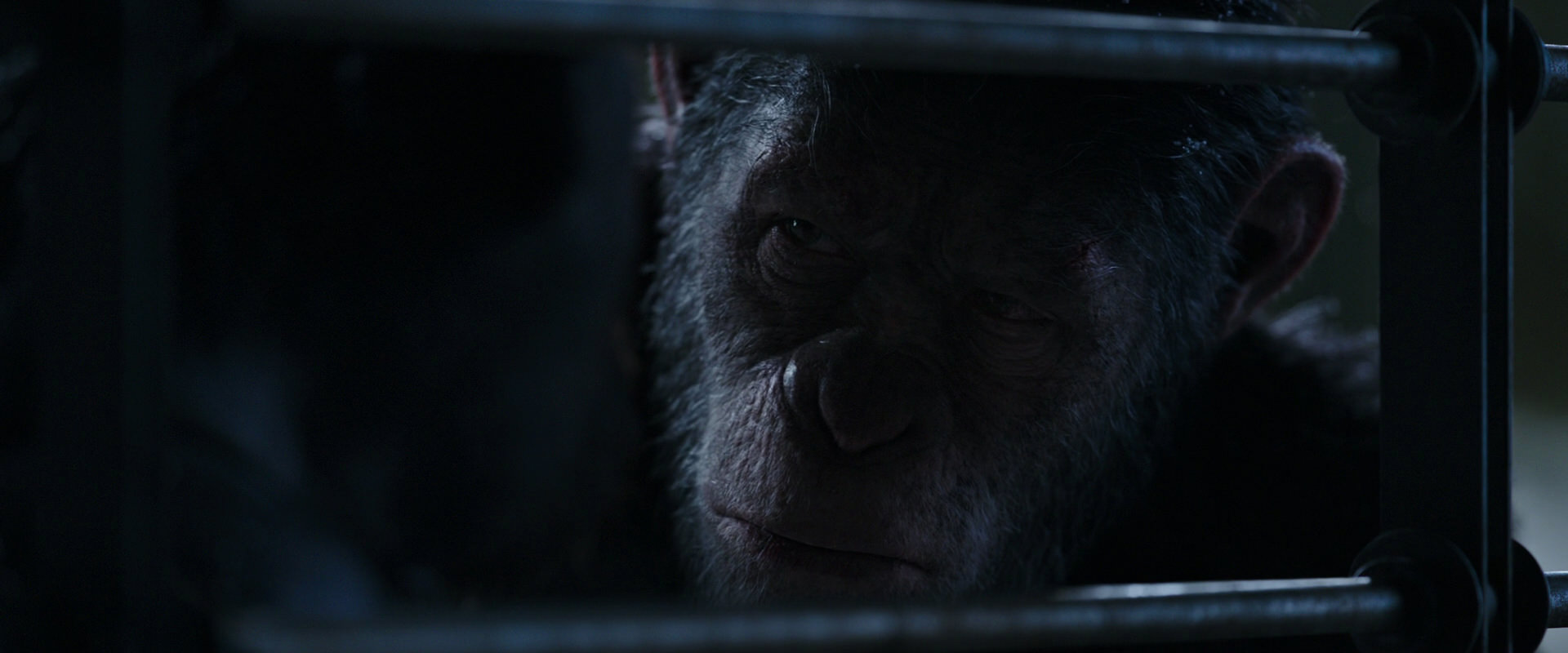 War for the Planet of the Apes (2017) movie still 13219