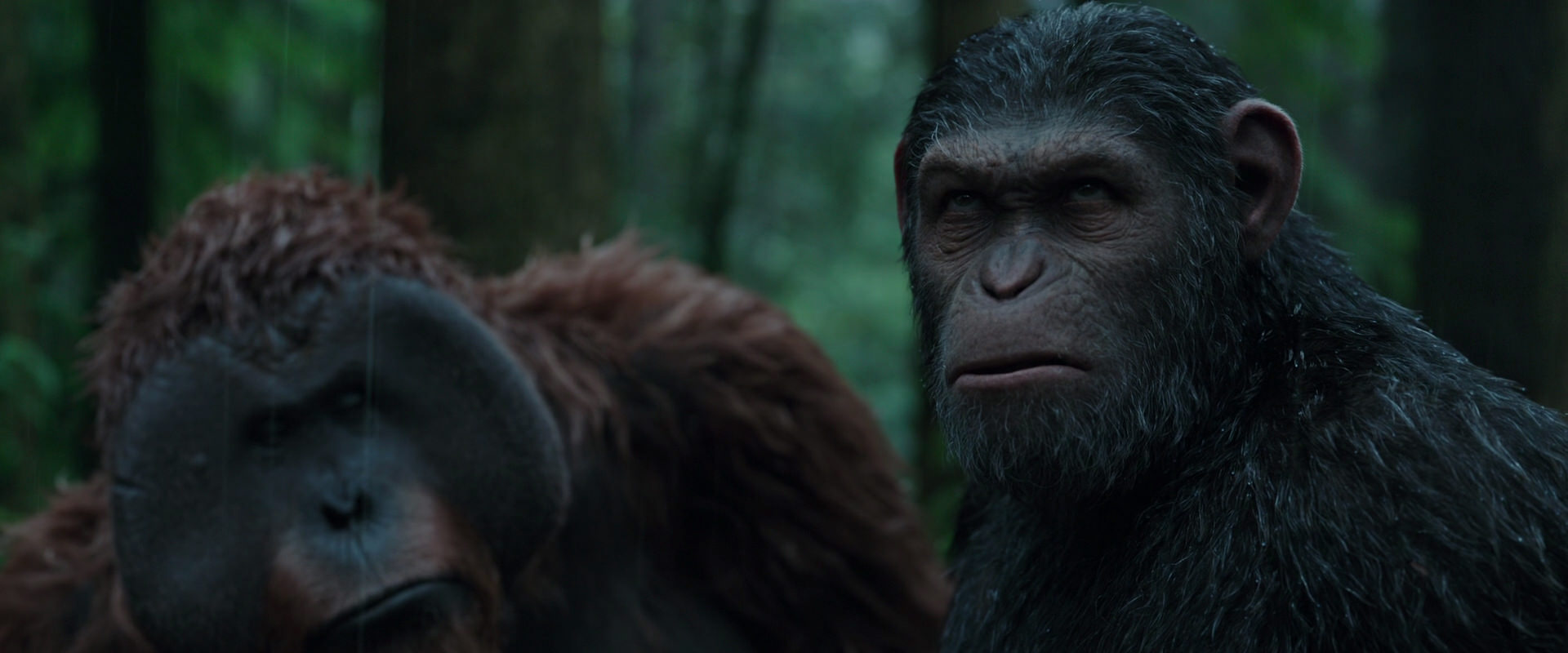 War for the Planet of the Apes (2017) HD screenshot 1322