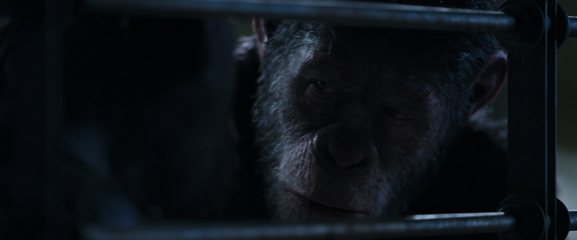 War for the Planet of the Apes (2017) HD screenshot 13220