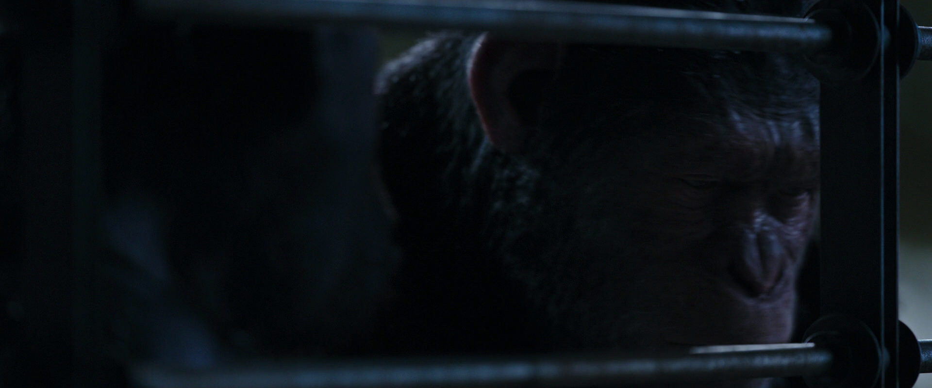 War for the Planet of the Apes (2017) screencap 13221