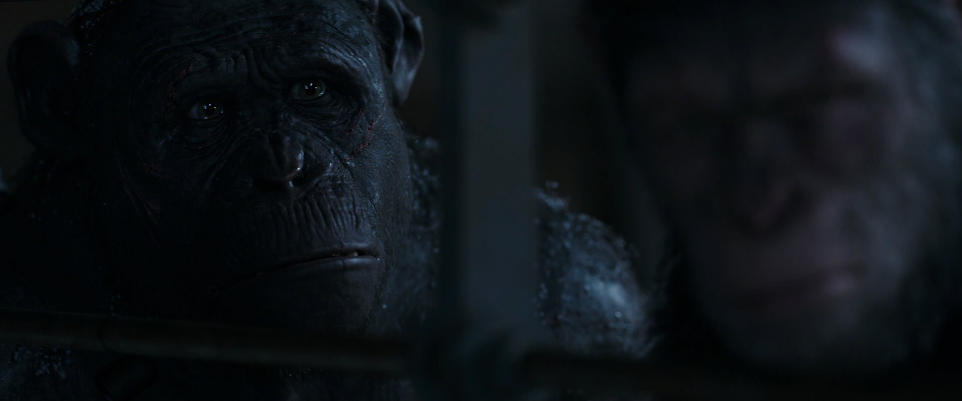 War for the Planet of the Apes (2017) HD screenshot 13223