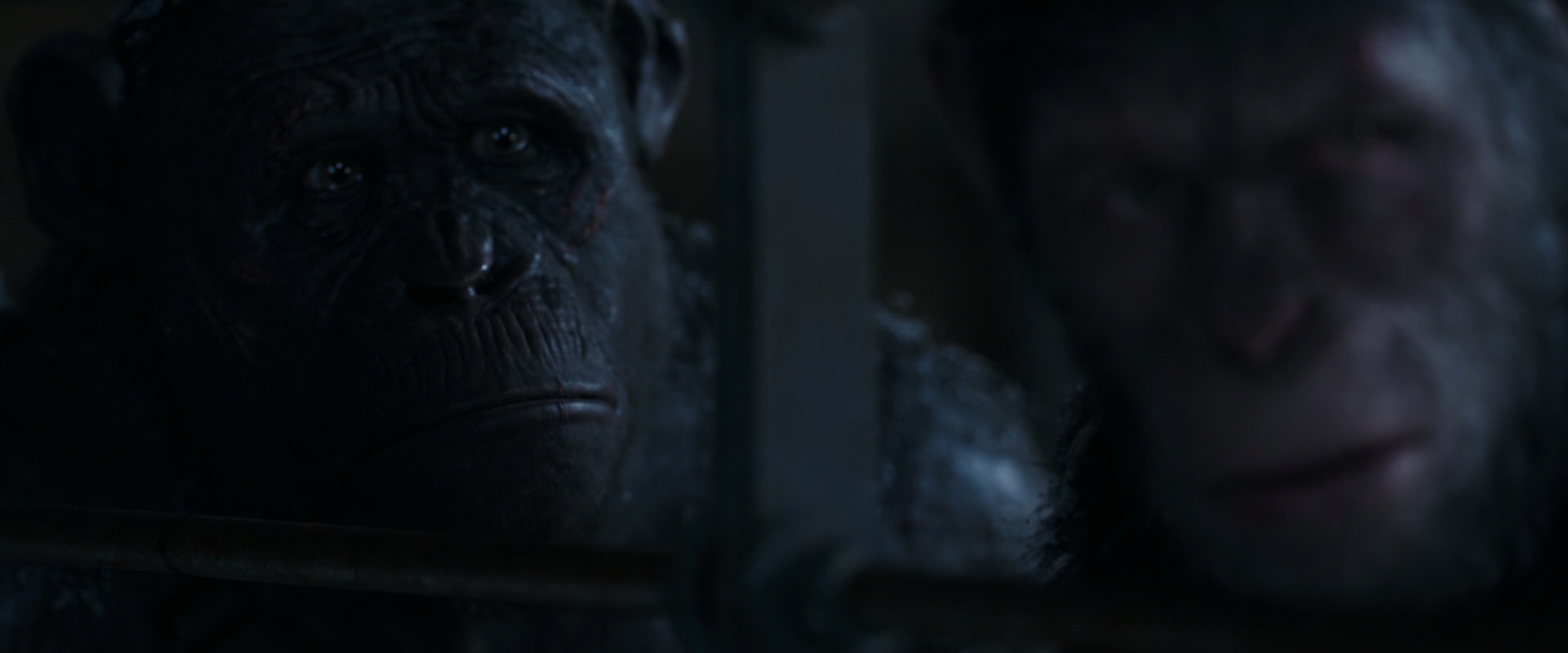War for the Planet of the Apes (2017) screencap 13224