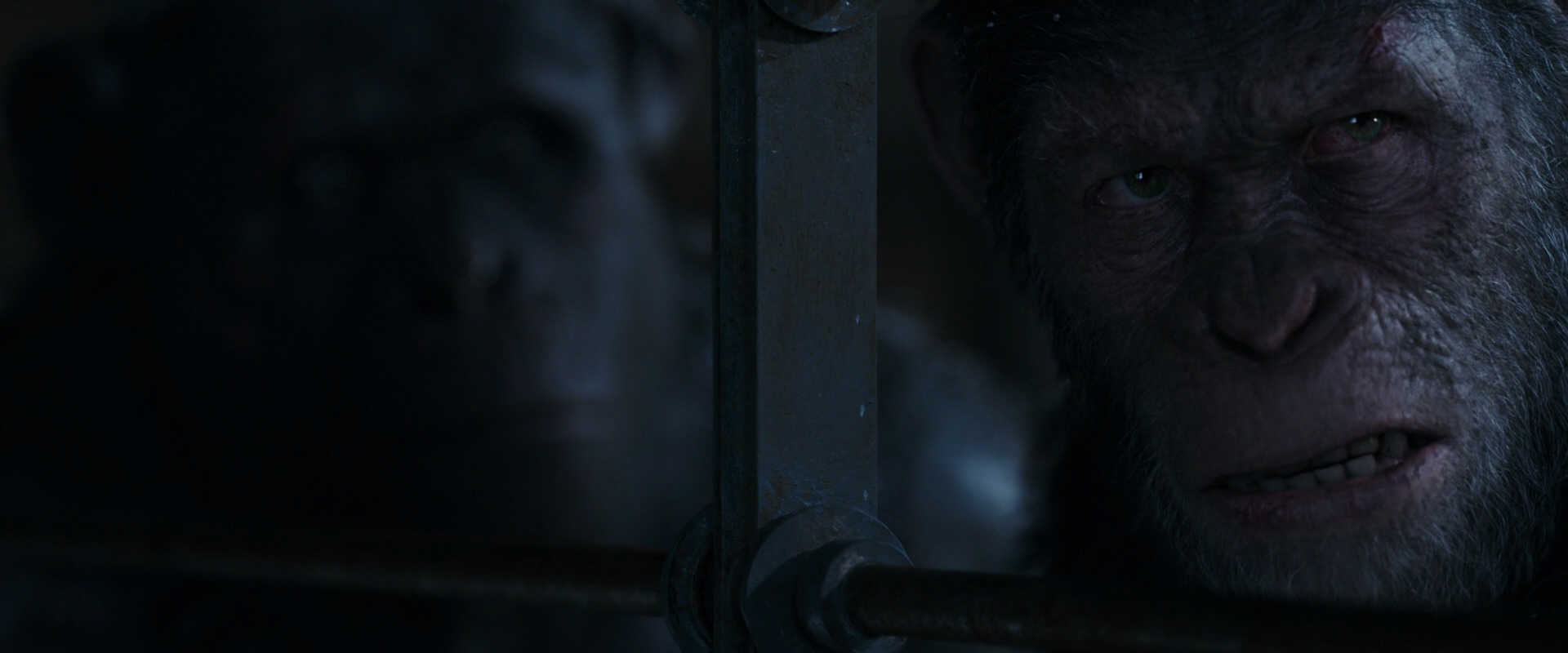 War for the Planet of the Apes (2017) HD screenshot 13226