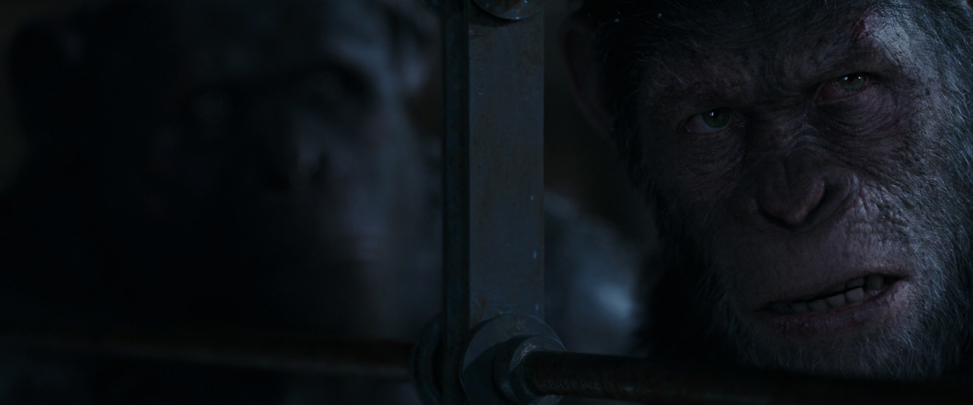 War for the Planet of the Apes (2017) screencap 13227
