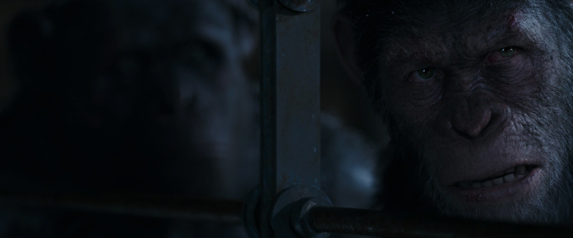 War for the Planet of the Apes (2017) movie still 13228