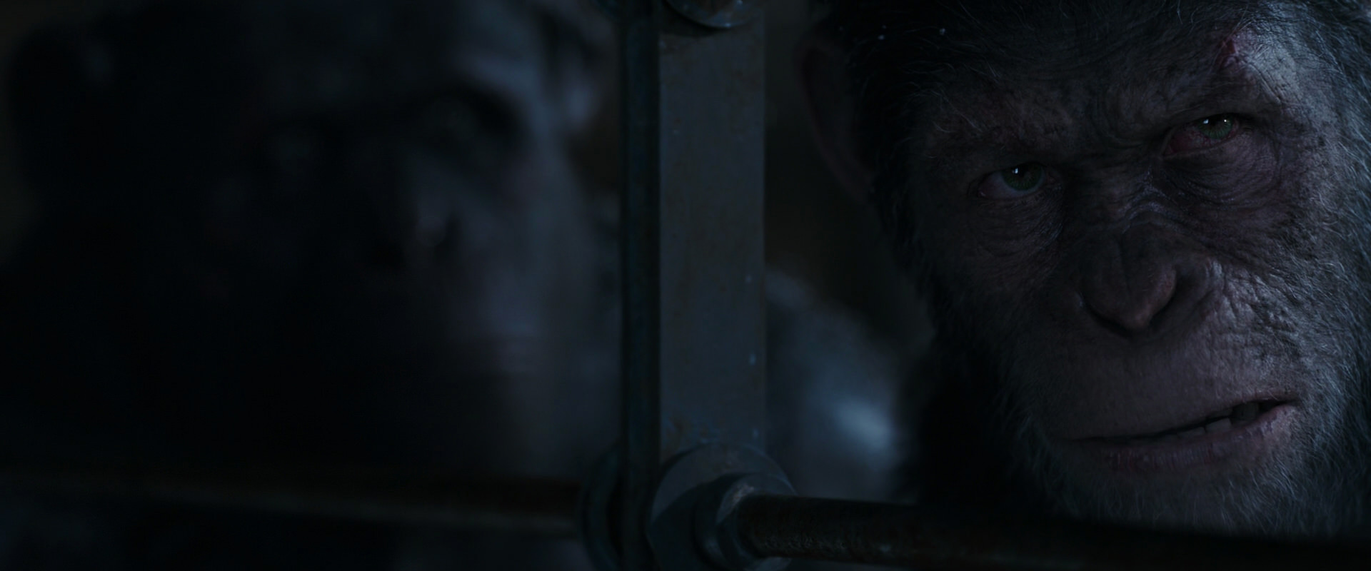 War for the Planet of the Apes (2017) HD screenshot 13229