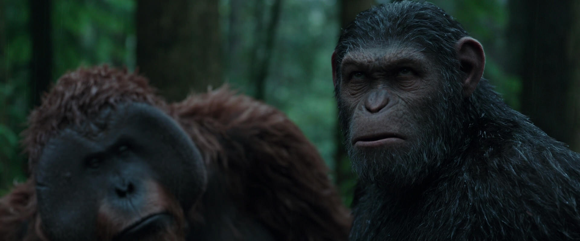 War for the Planet of the Apes (2017) screencap 1323