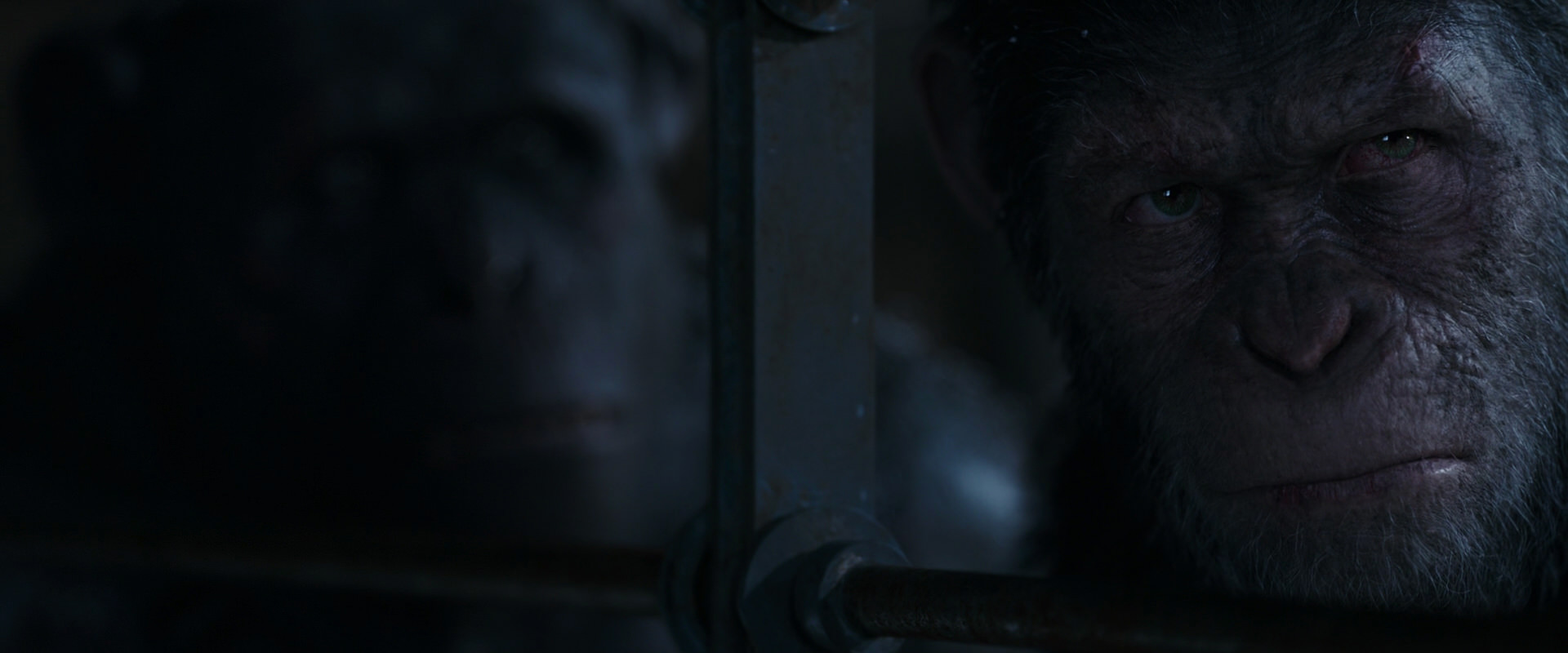 War for the Planet of the Apes (2017) screencap 13230