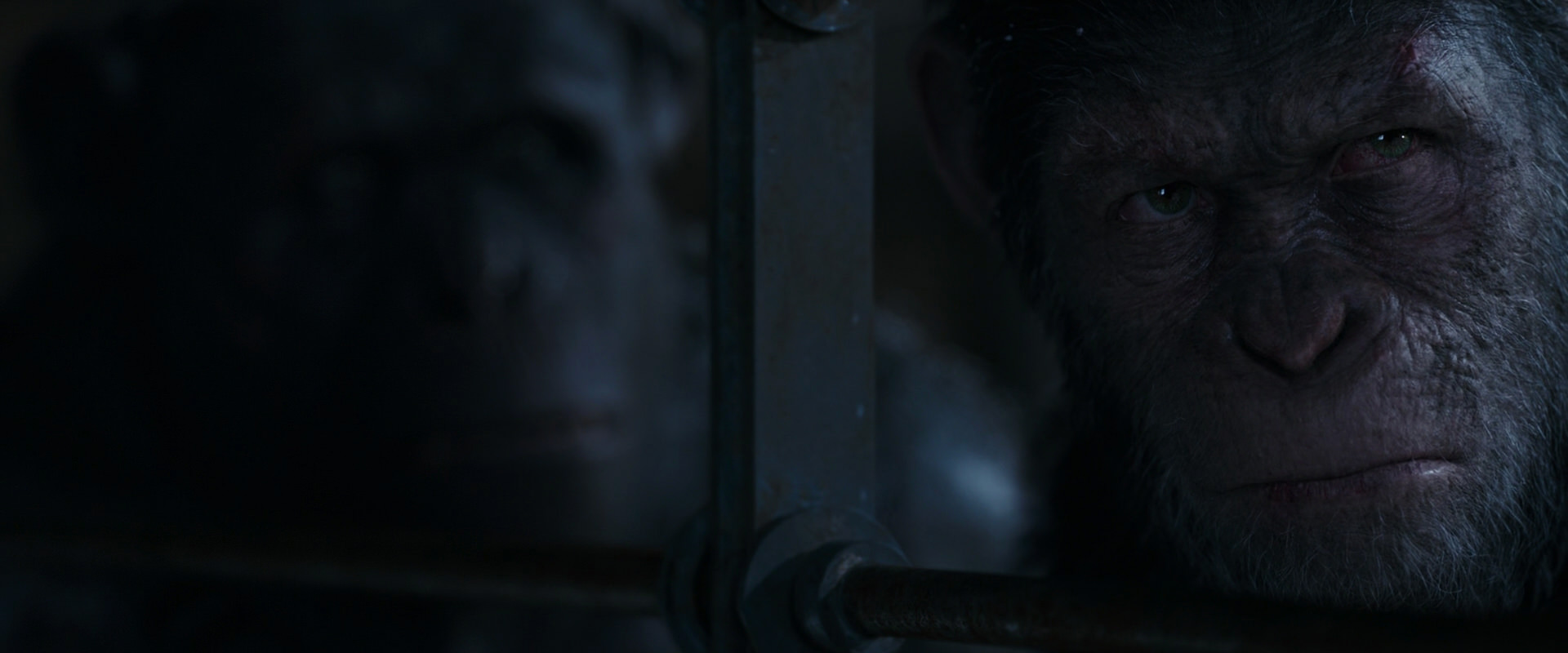 War for the Planet of the Apes (2017) movie still 13231