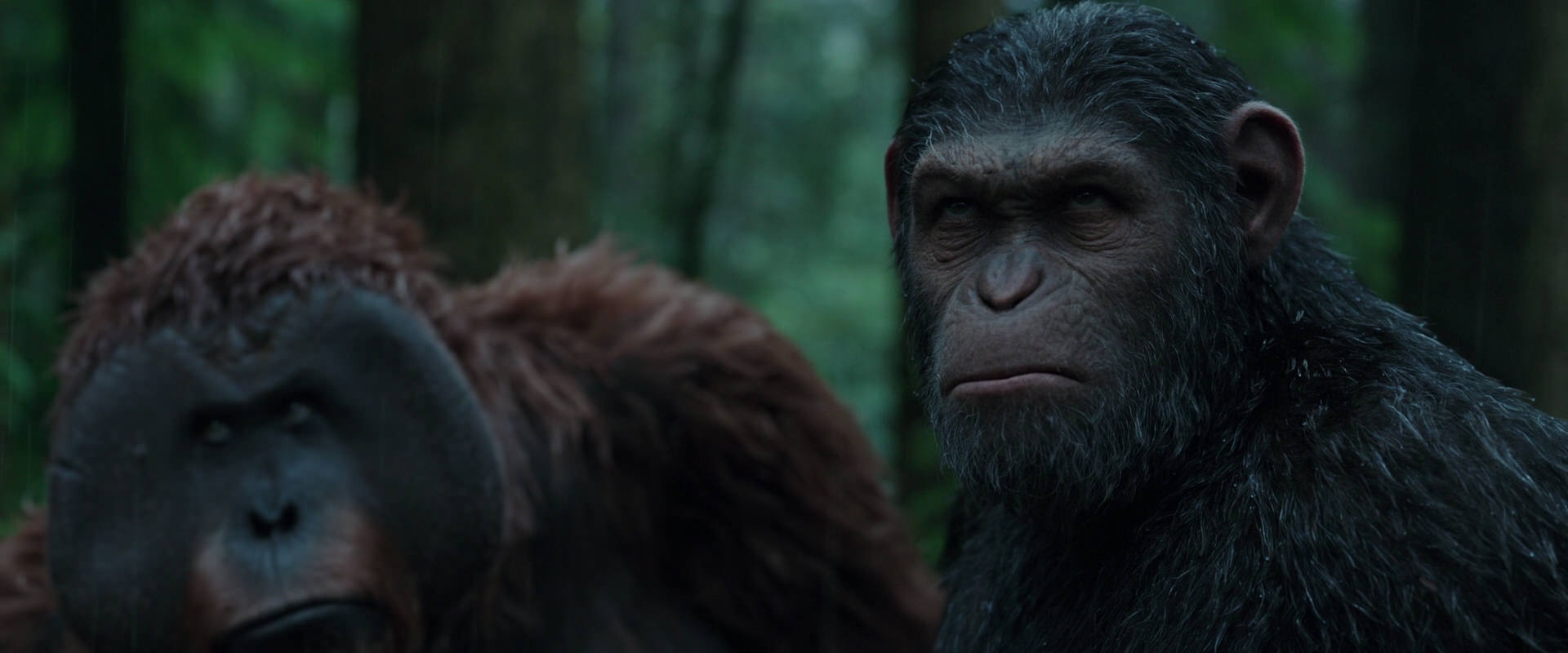 War for the Planet of the Apes (2017) movie still 1324