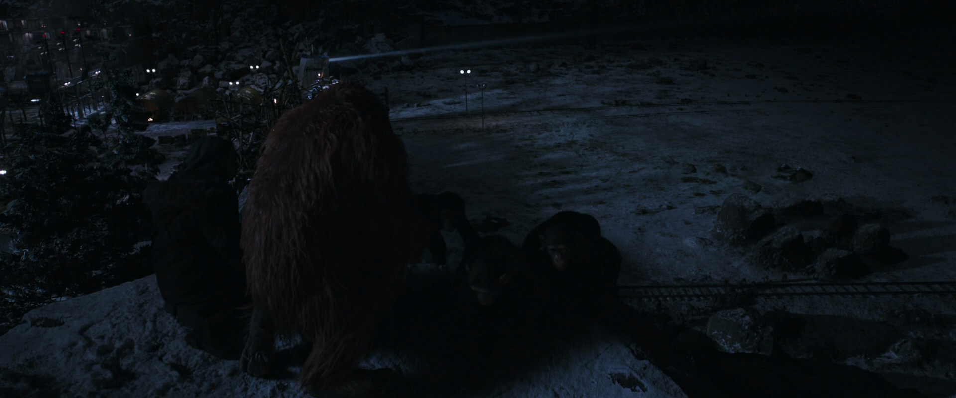 War for the Planet of the Apes (2017) screencap 13242