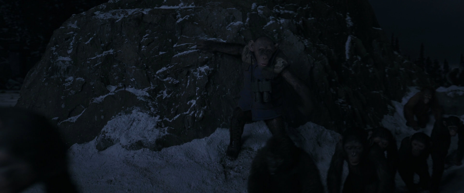 War for the Planet of the Apes (2017) movie still 13246