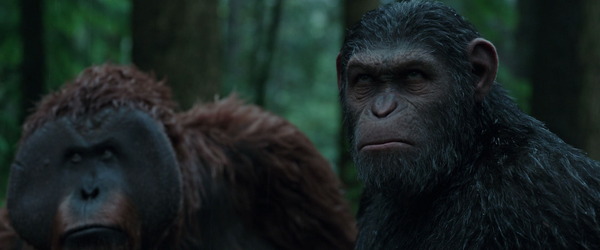 War for the Planet of the Apes (2017) HD screenshot 1325