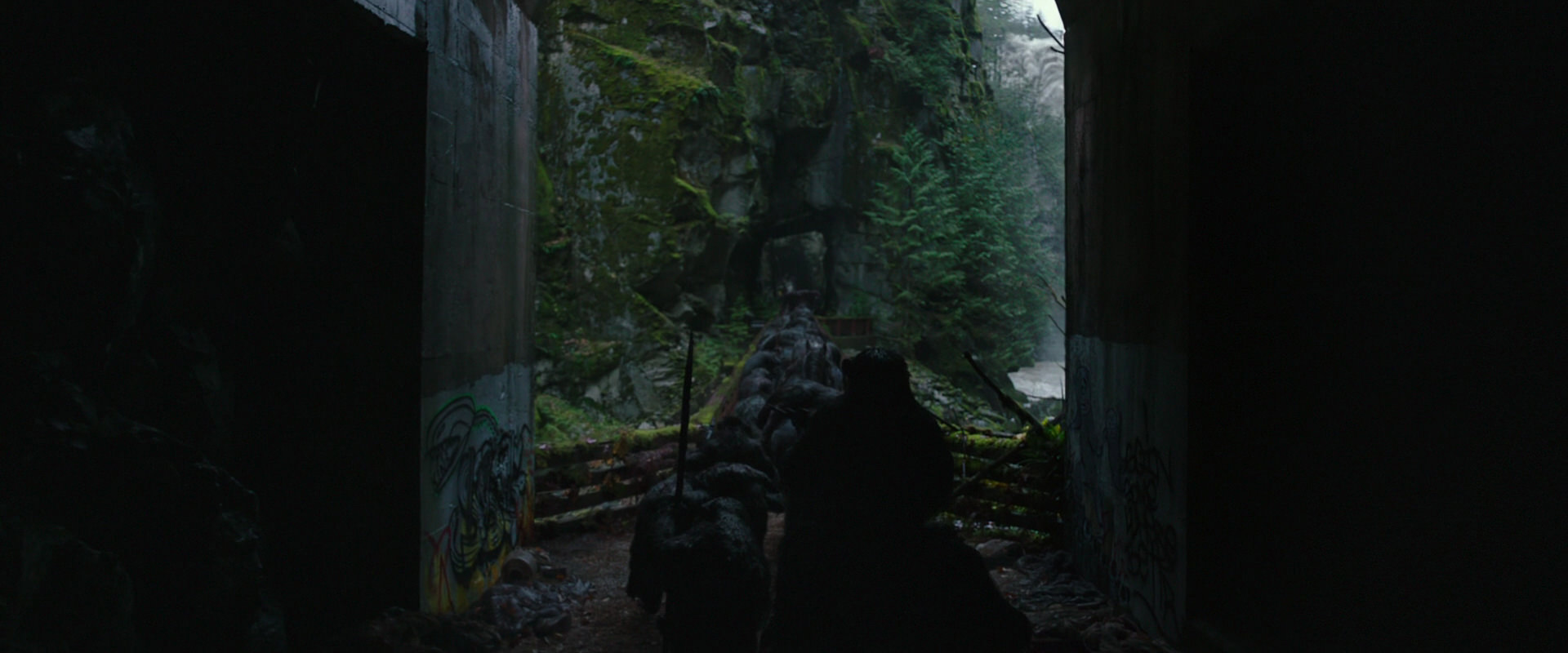 War for the Planet of the Apes (2017) screencap 1326