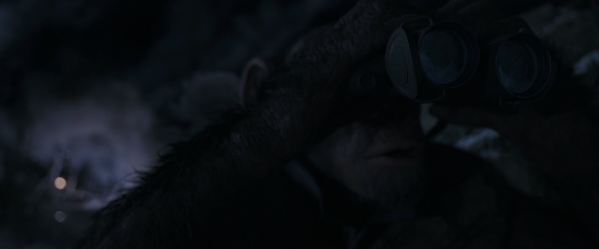 War for the Planet of the Apes (2017) screencap 13272