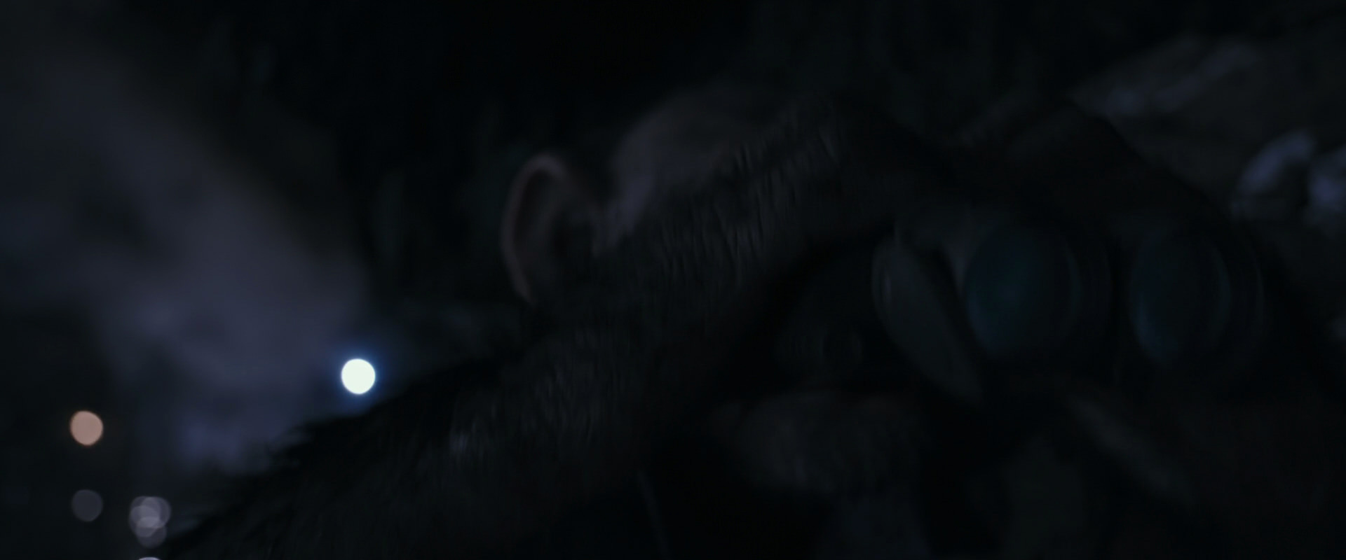 War for the Planet of the Apes (2017) screencap 13278