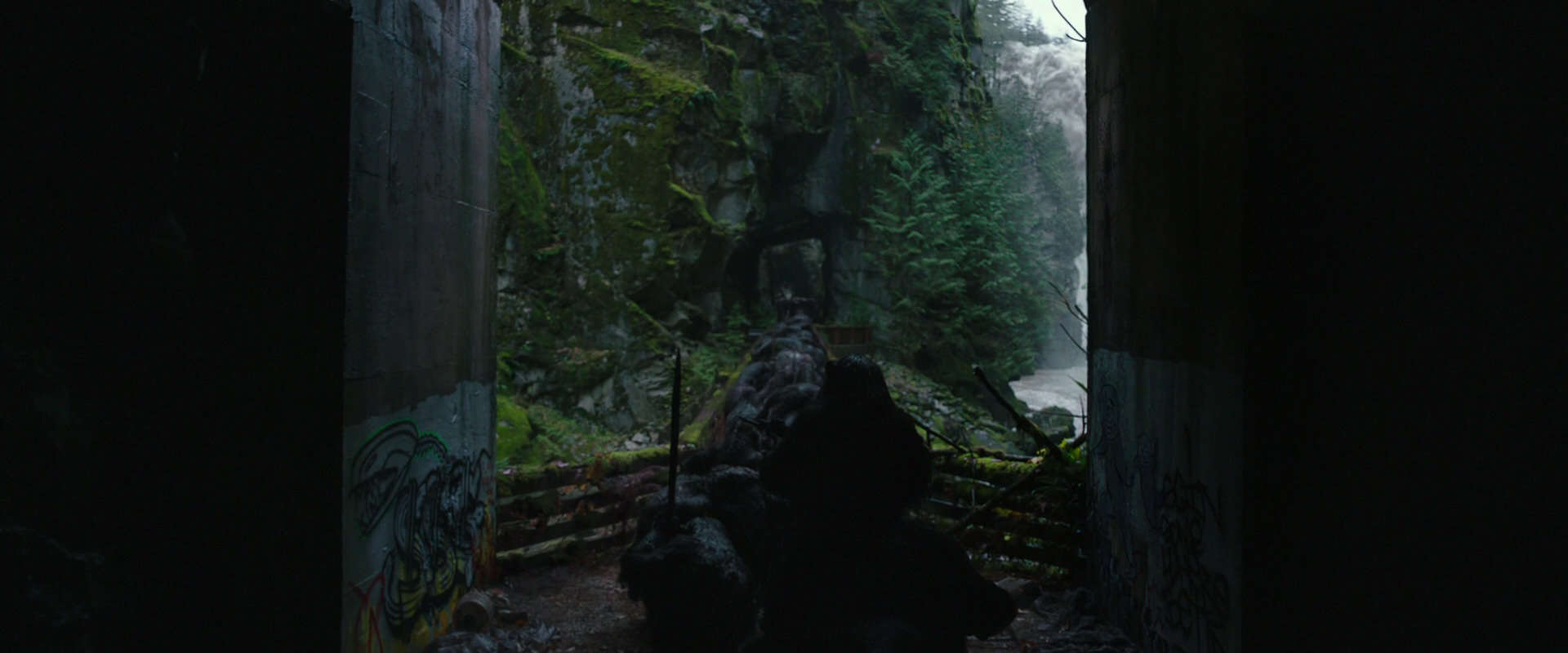 War for the Planet of the Apes (2017) screencap 1329