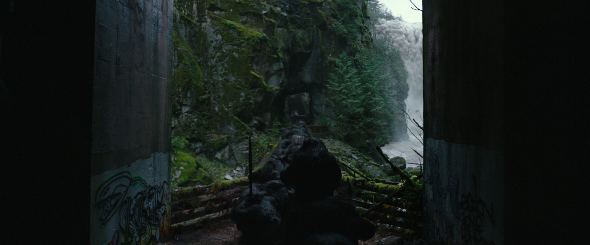 War for the Planet of the Apes (2017) screencap 1332