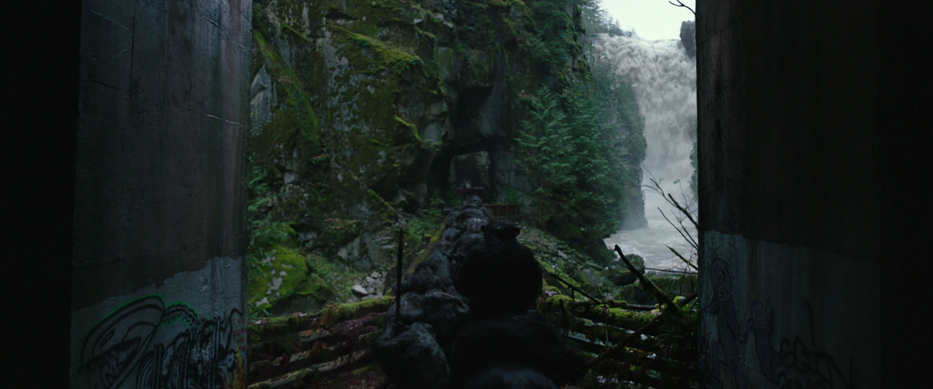 War for the Planet of the Apes (2017) screencap 1335