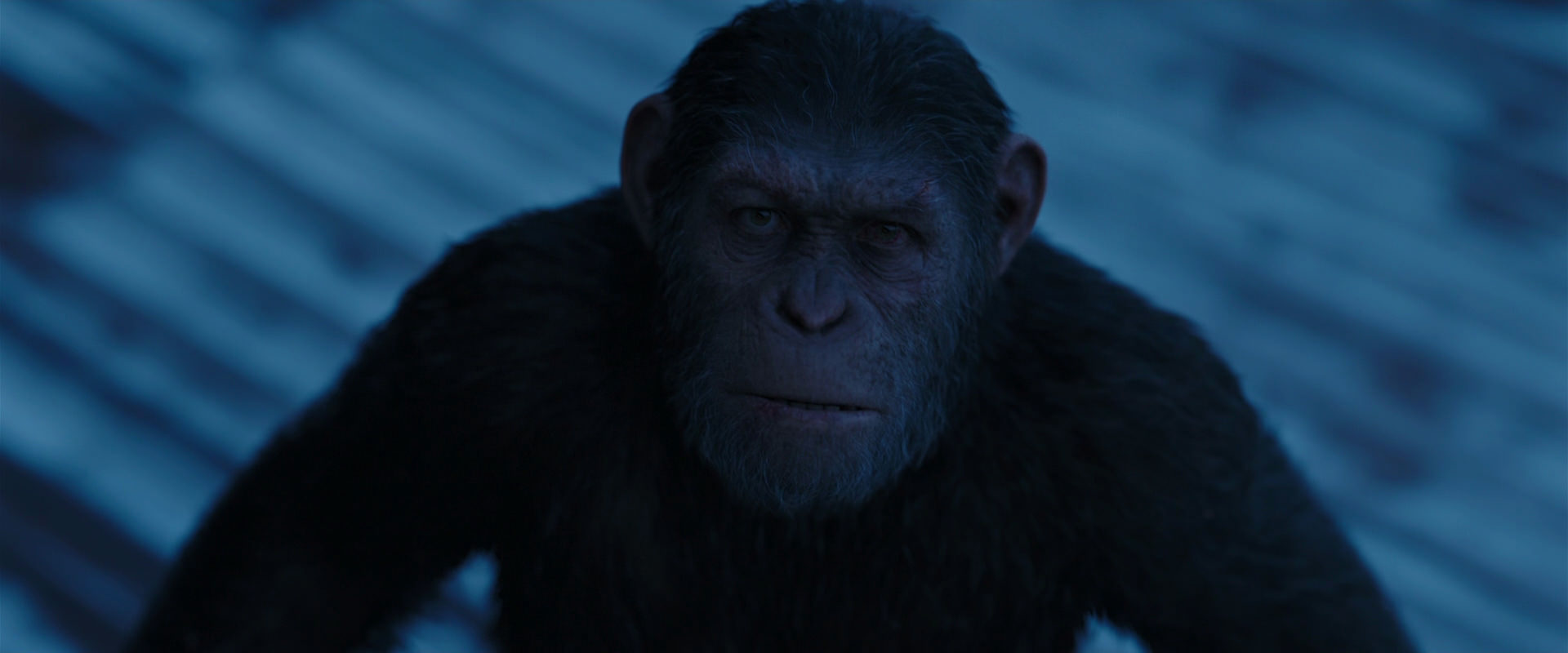 War for the Planet of the Apes (2017) HD screenshot 13361