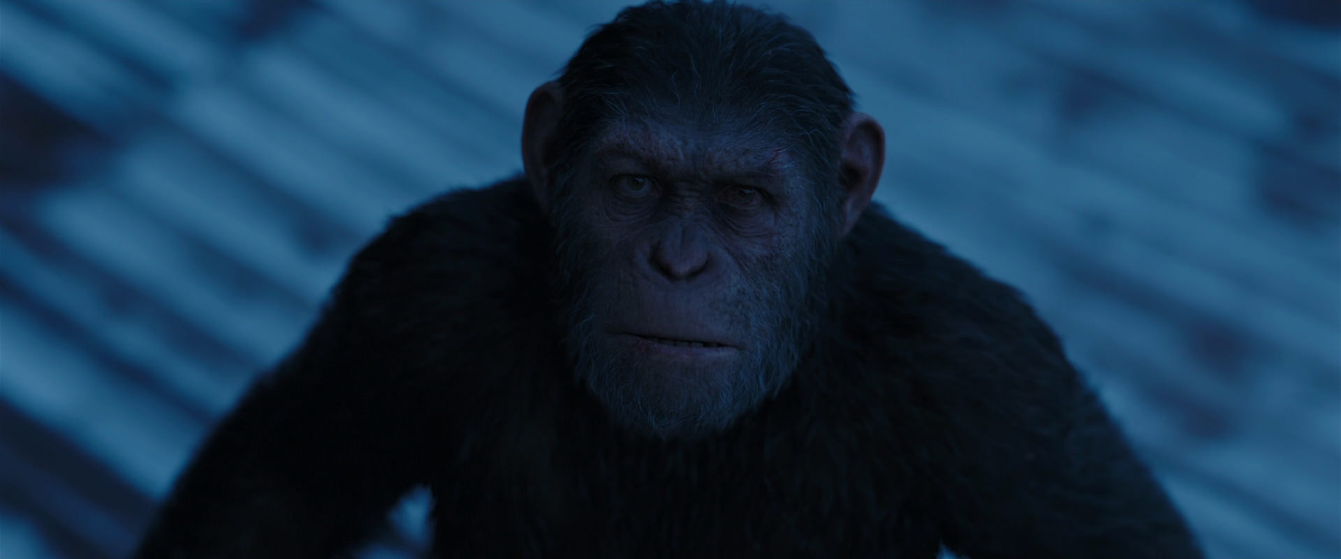 War for the Planet of the Apes (2017) screencap 13362