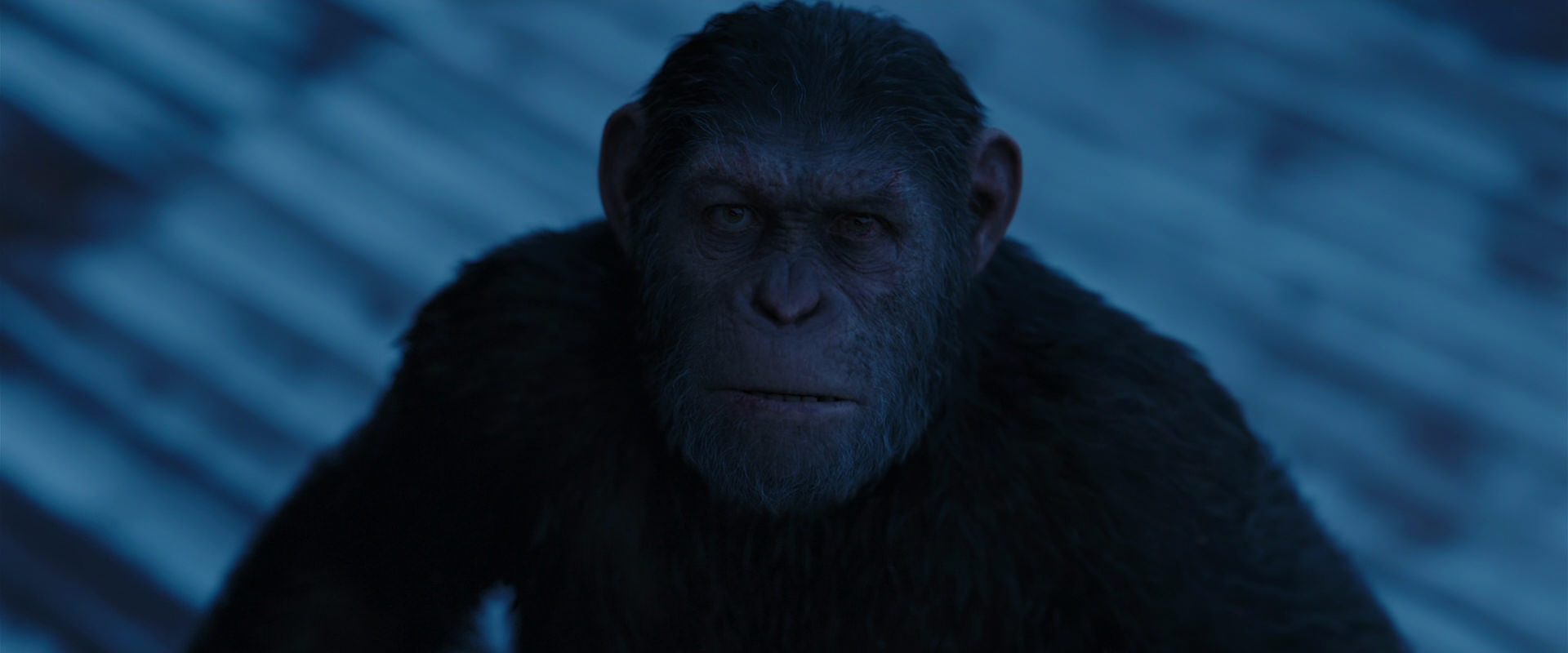 War for the Planet of the Apes (2017) movie still 13363