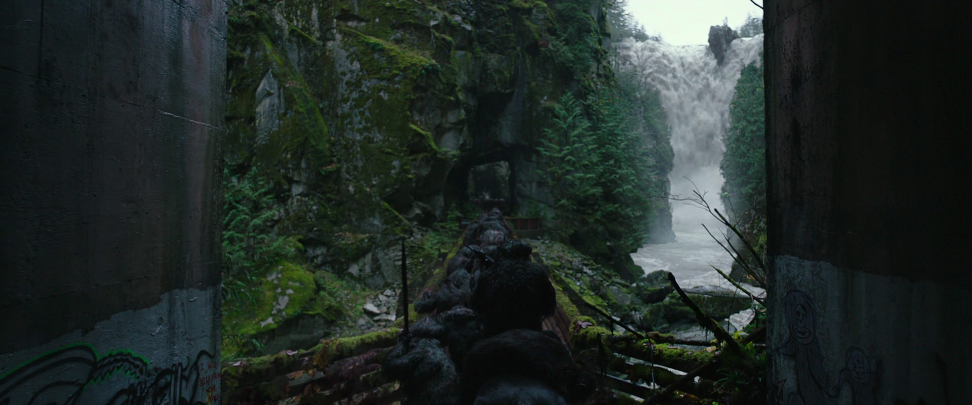 War for the Planet of the Apes (2017) screencap 1338