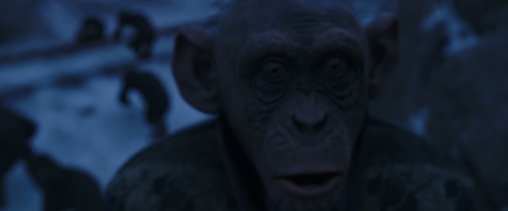 War for the Planet of the Apes (2017) screencap 13416