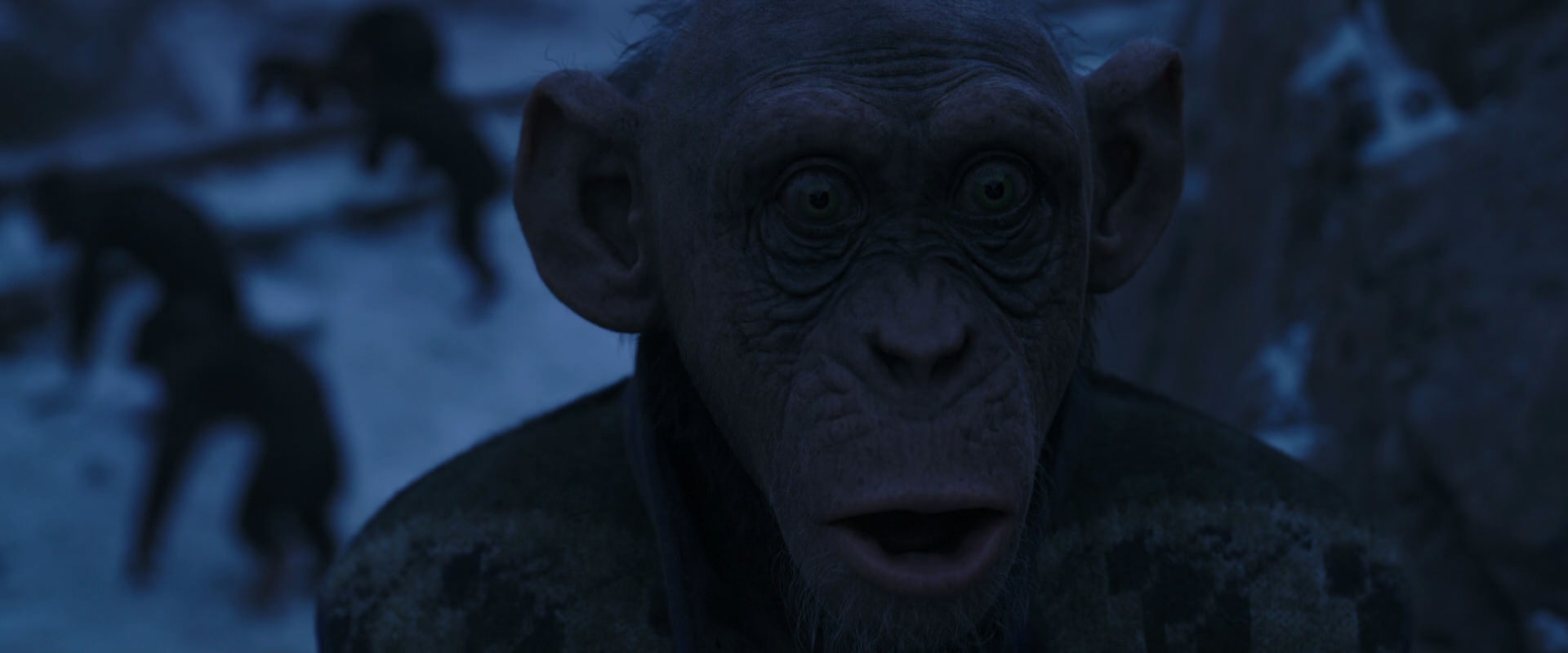 War for the Planet of the Apes (2017) movie still 13417