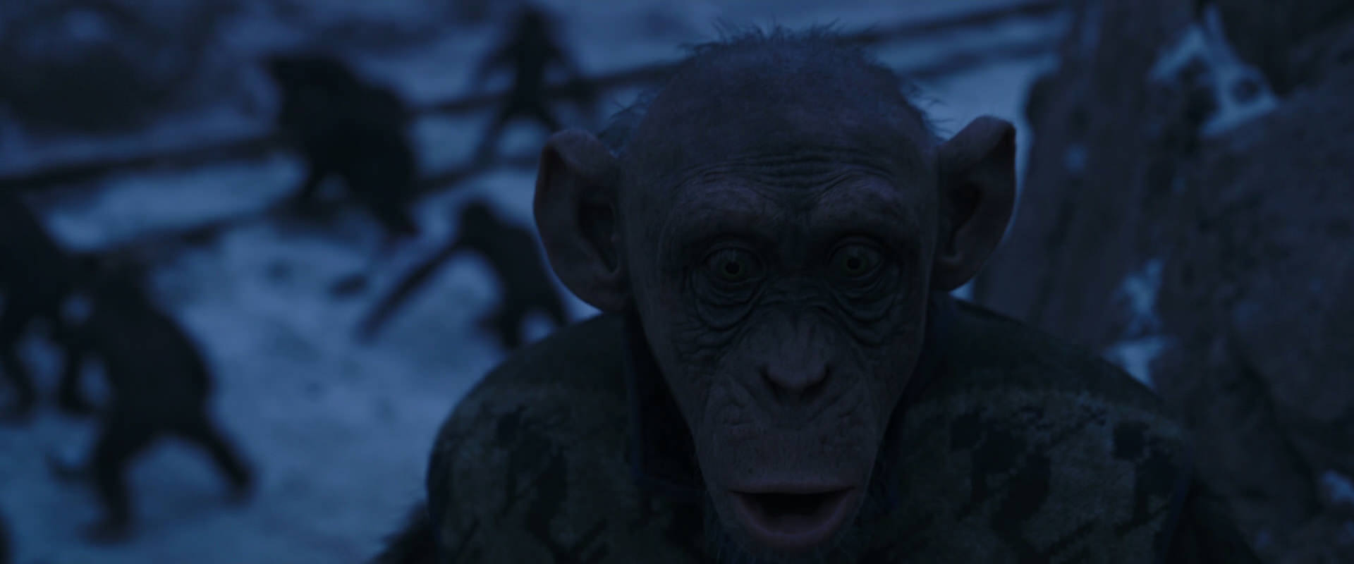 War for the Planet of the Apes (2017) screencap 13419