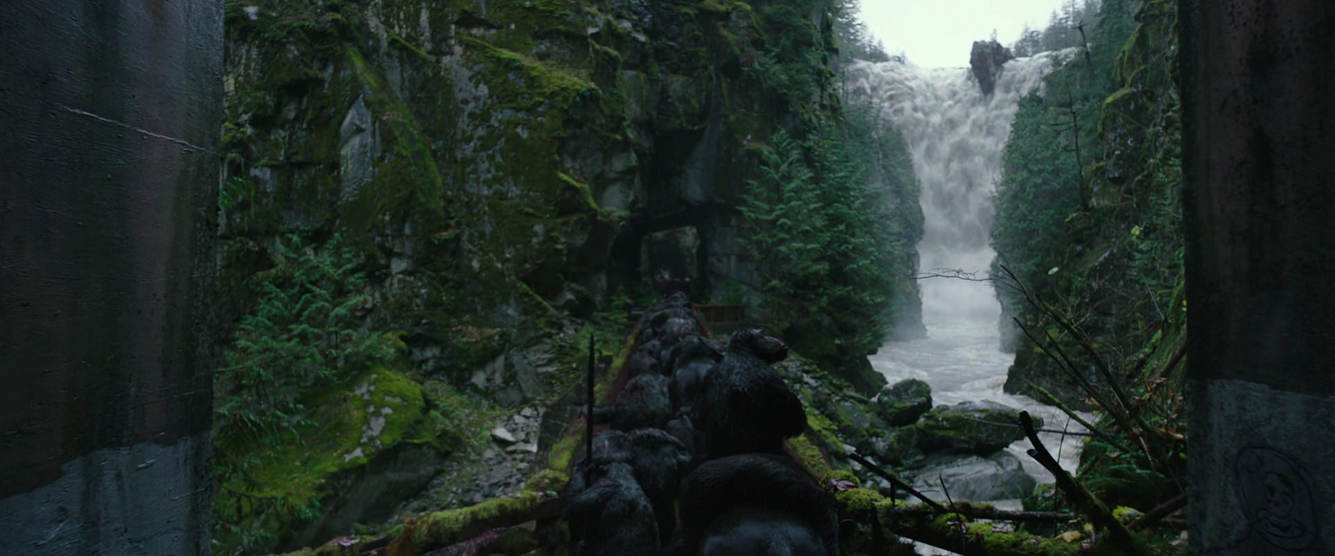 War for the Planet of the Apes (2017) movie still 1342