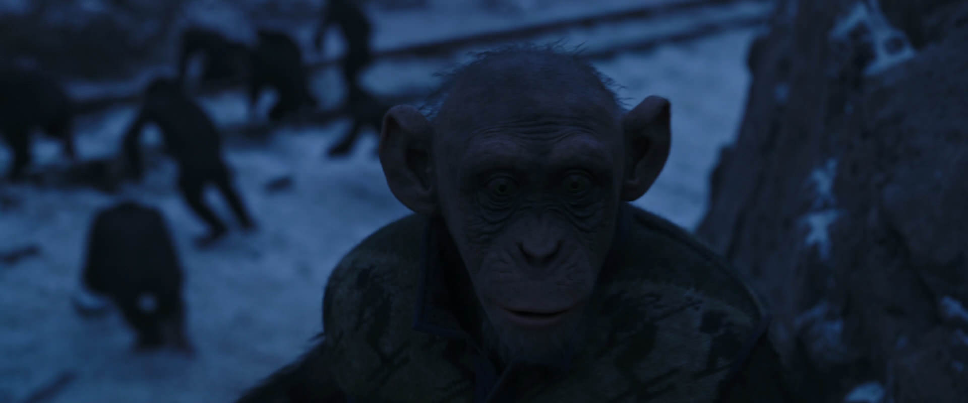 War for the Planet of the Apes (2017) movie still 13420