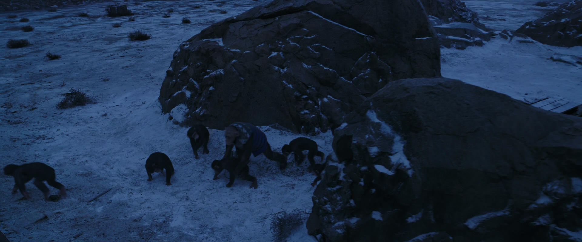 War for the Planet of the Apes (2017) screencap 13422