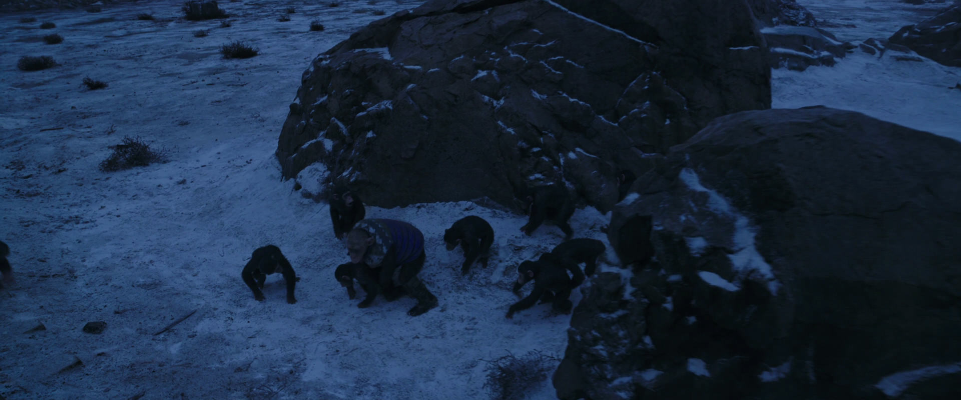 War for the Planet of the Apes (2017) movie still 13423