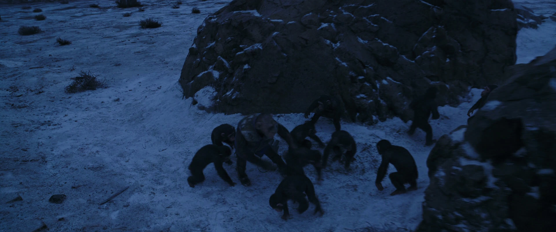 War for the Planet of the Apes (2017) screencap 13425