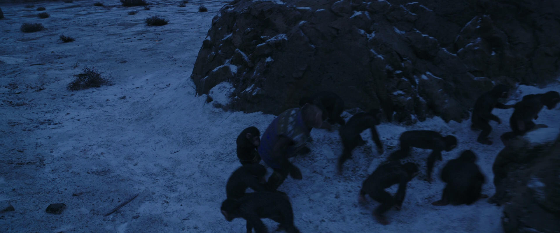 War for the Planet of the Apes (2017) movie still 13426