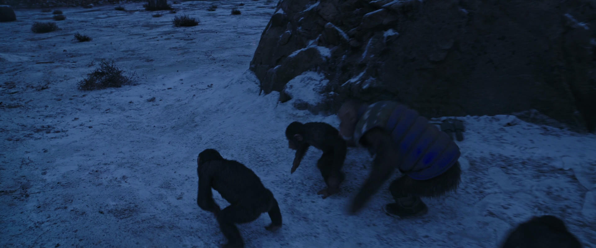 War for the Planet of the Apes (2017) movie still 13429