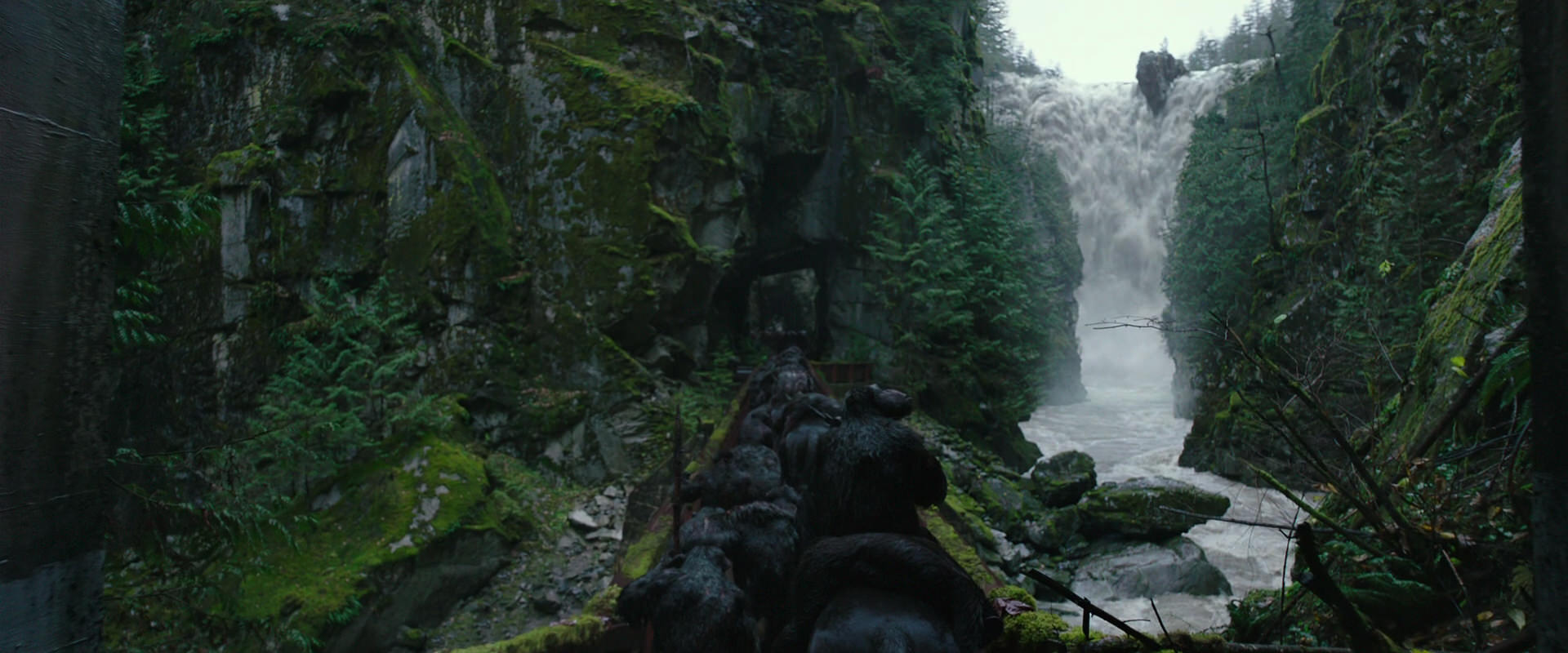 War for the Planet of the Apes (2017) screencap 1344