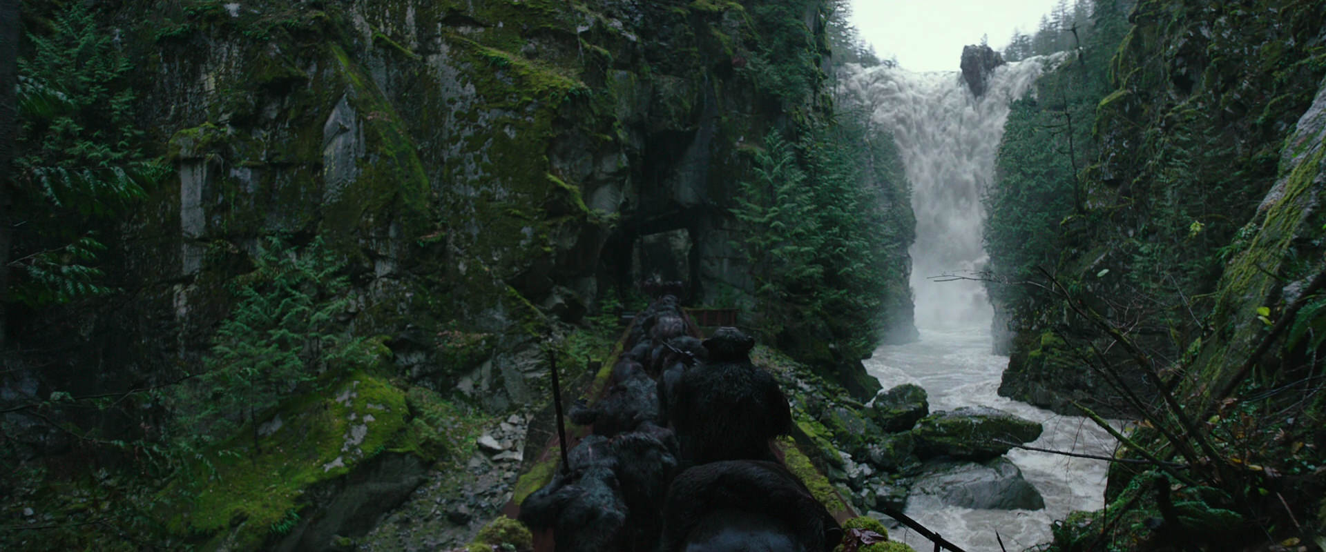 War for the Planet of the Apes (2017) movie still 1345