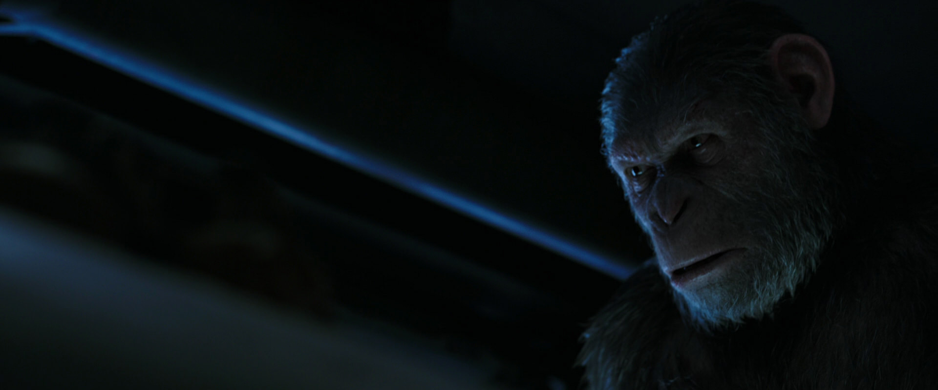 War for the Planet of the Apes (2017) movie still 13486