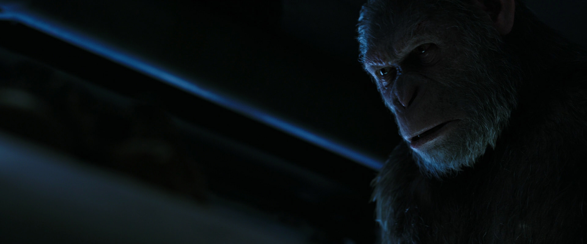 War for the Planet of the Apes (2017) screencap 13488