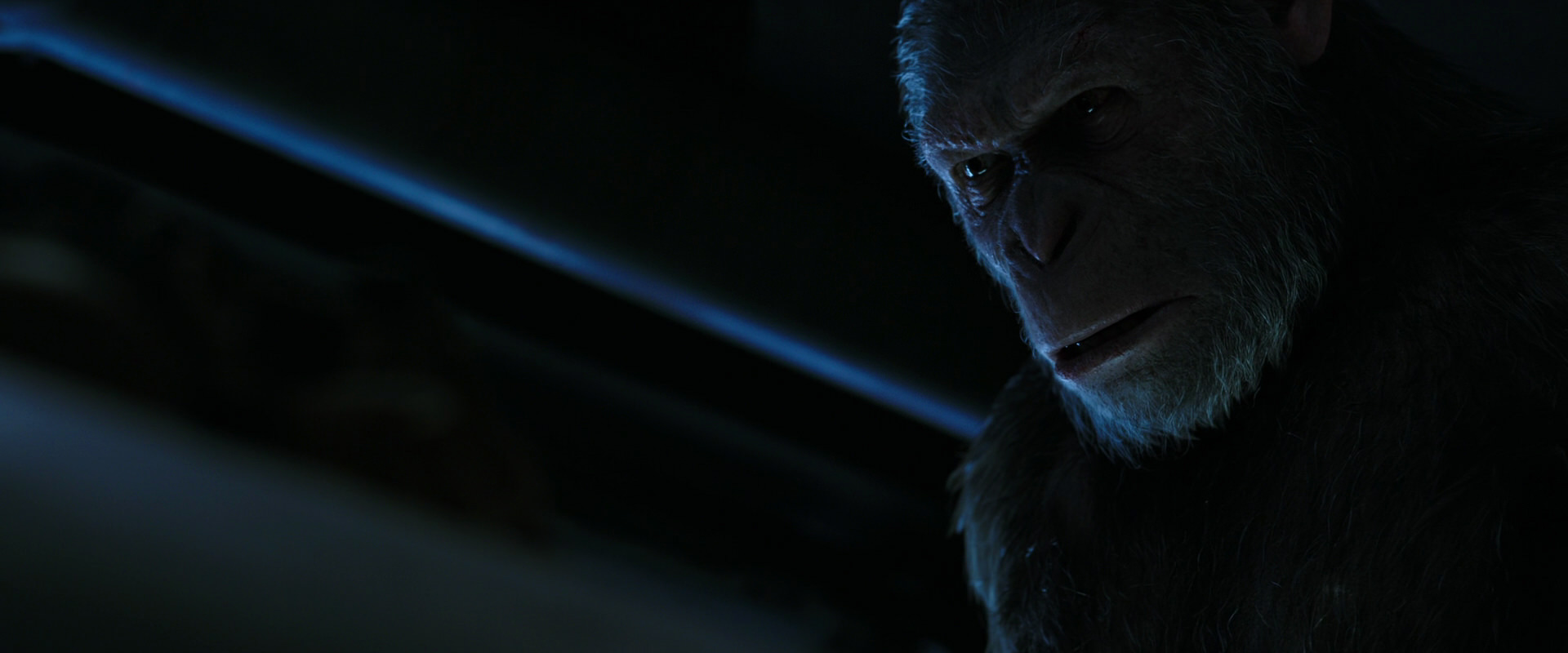 War for the Planet of the Apes (2017) movie still 13489