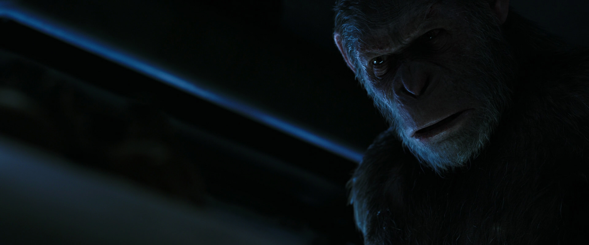 War for the Planet of the Apes (2017) screencap 13491