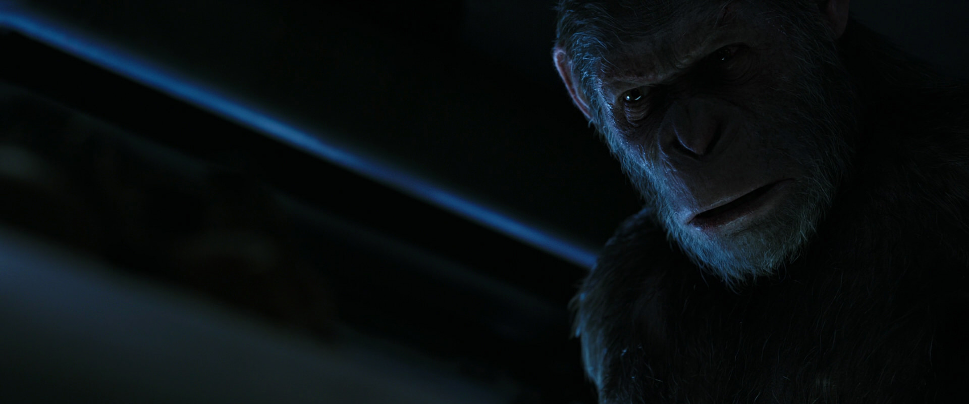 War for the Planet of the Apes (2017) movie still 13492