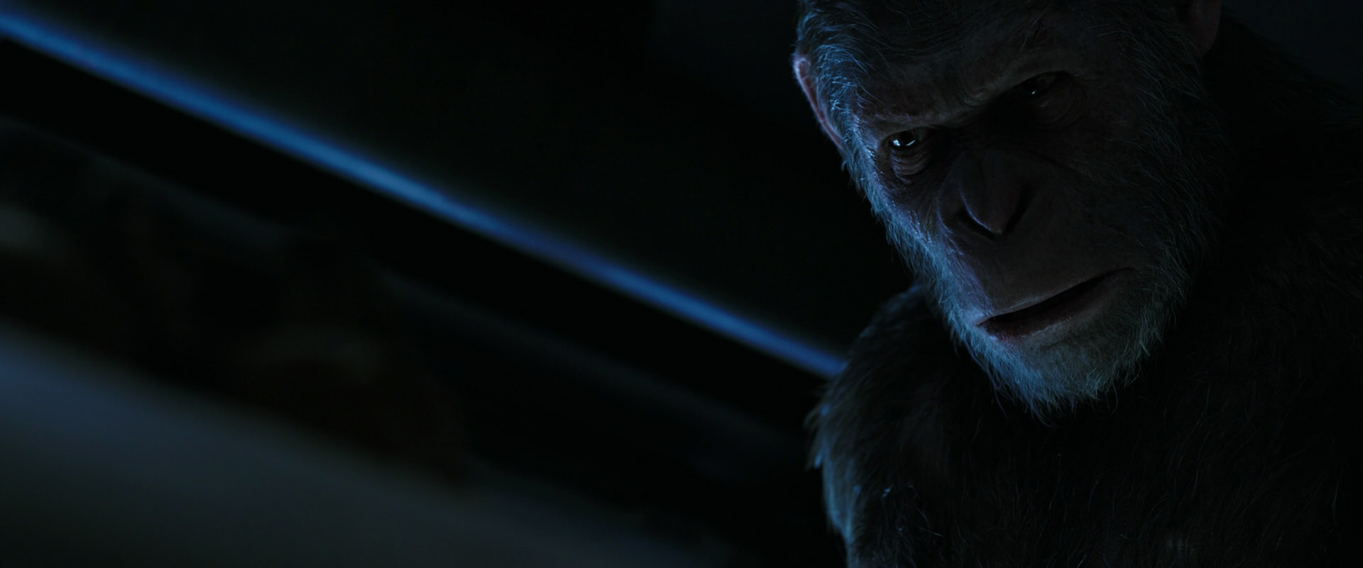 War for the Planet of the Apes (2017) screencap 13494
