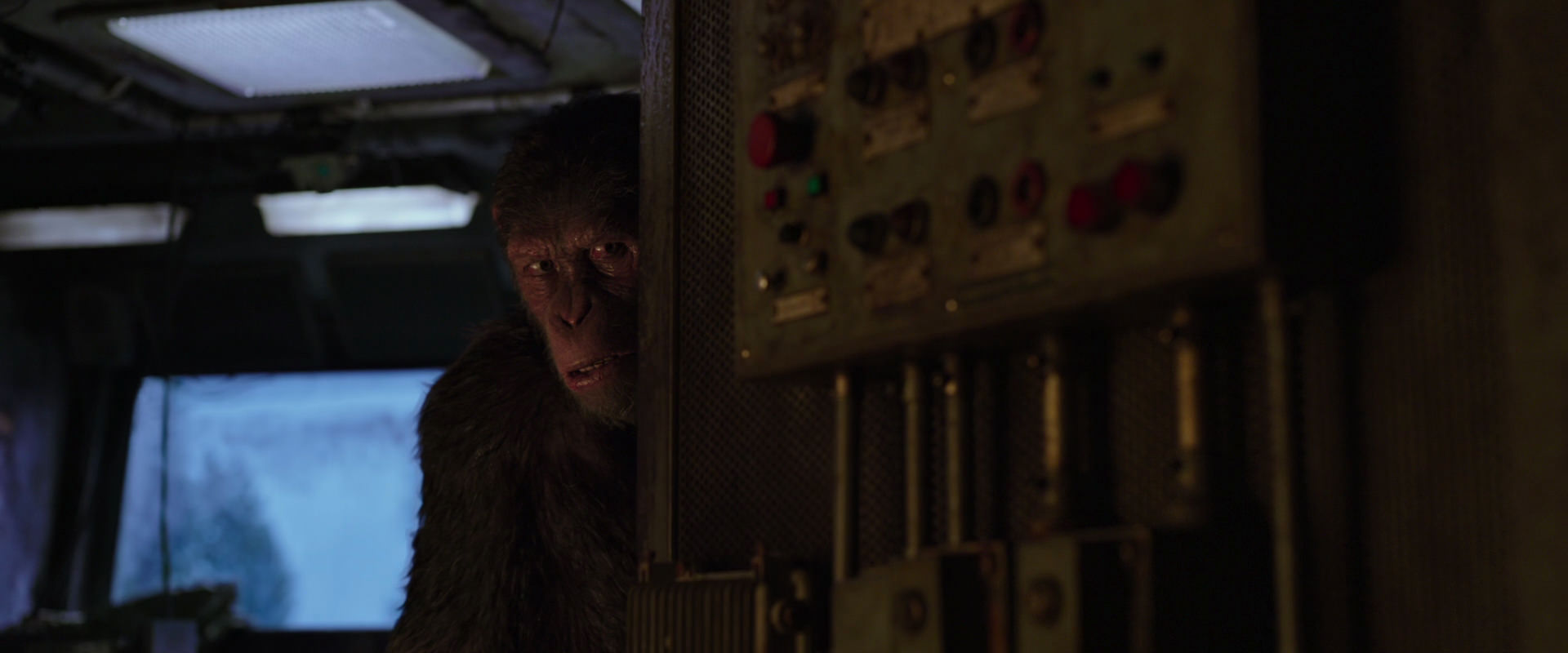 War for the Planet of the Apes (2017) movie still 13534