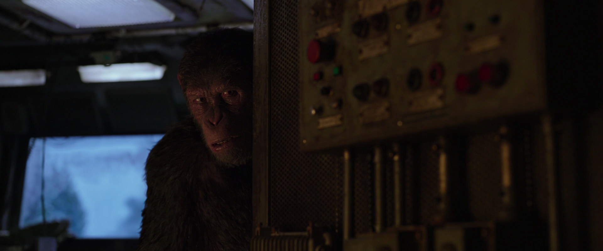 War for the Planet of the Apes (2017) screencap 13536