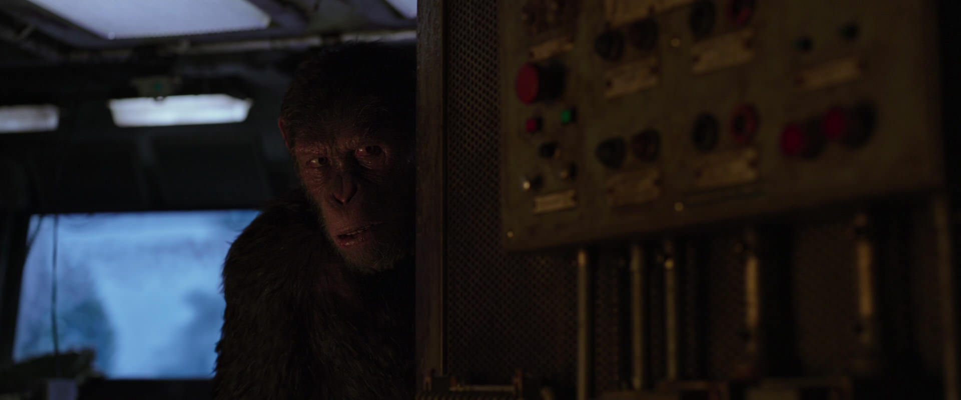 War for the Planet of the Apes (2017) movie still 13537